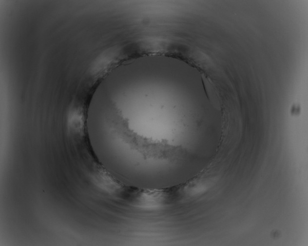 X0000102480720200808081305