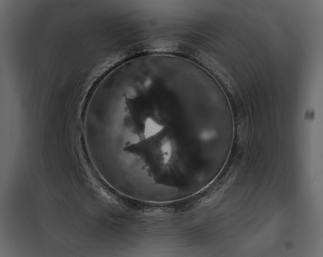 X0000102480721200808081304