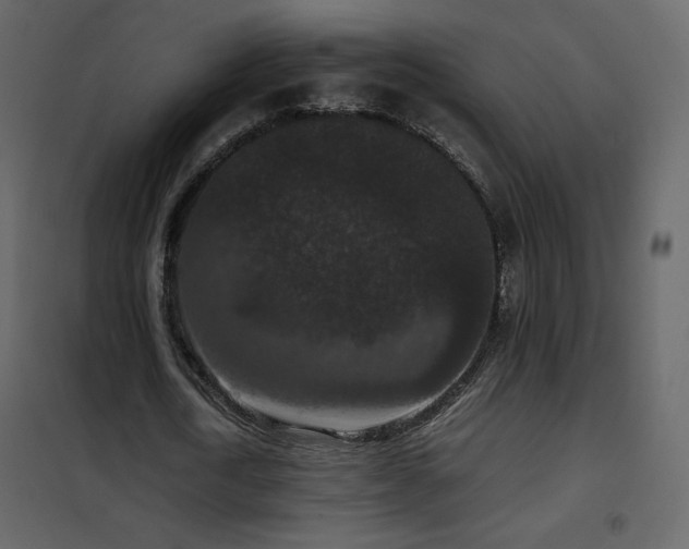X0000102480722200808081304
