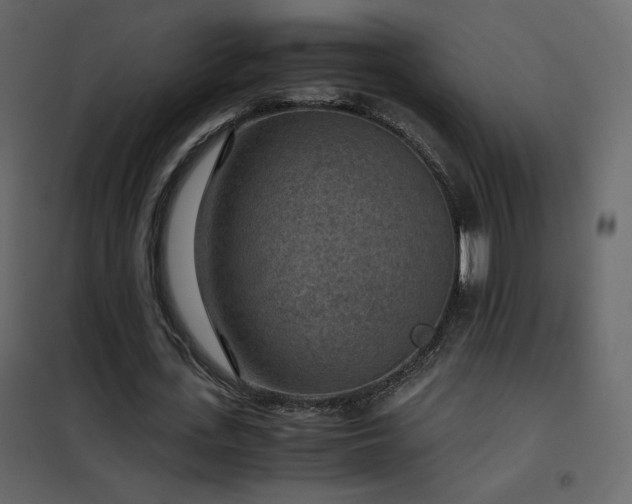 X0000102480723200808081304