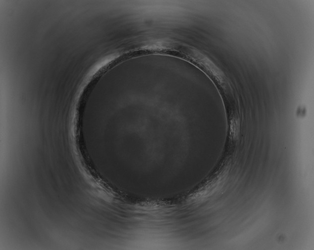 X0000102480724200808081304