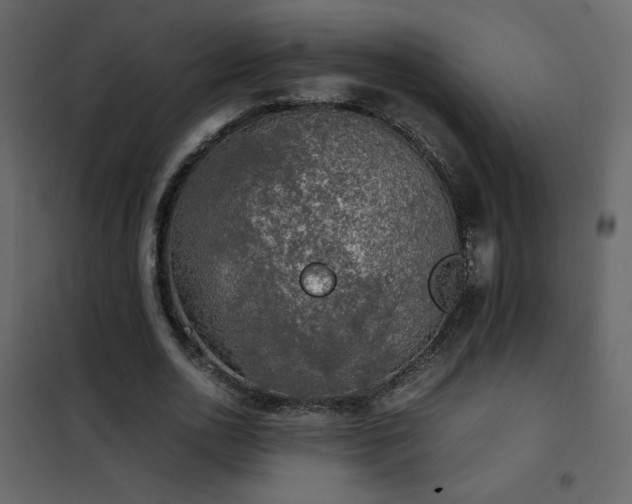 X0000102480726200808081304