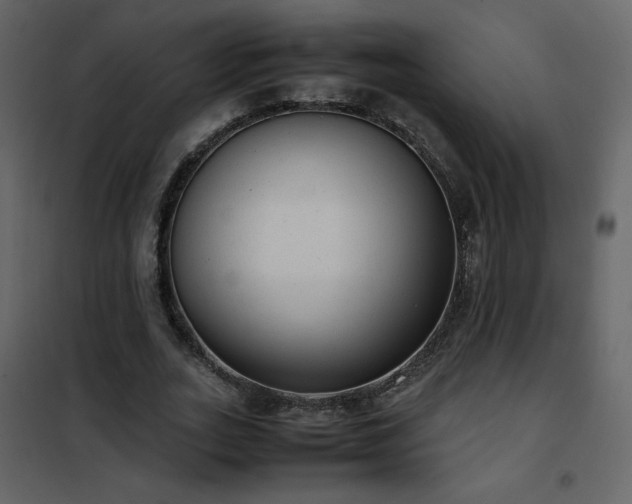 X0000102480727200808081304