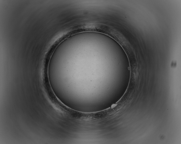 X0000102480728200808081304