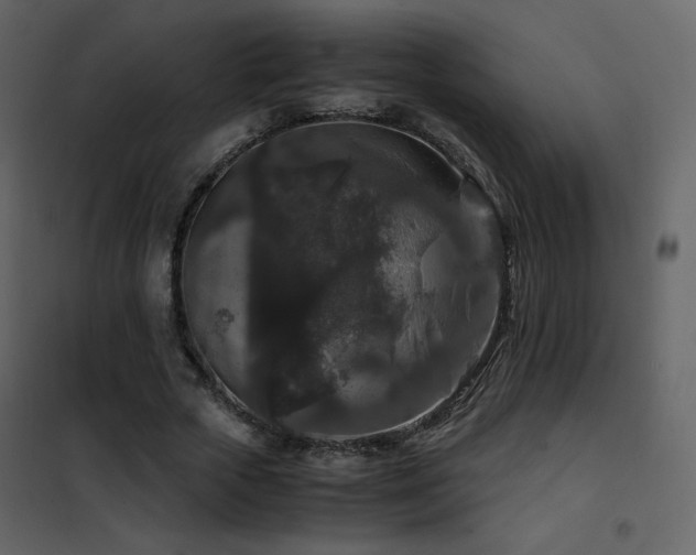 X0000102480729200808081304