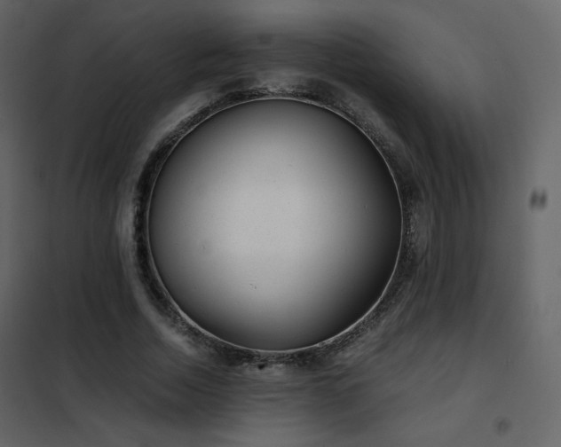 X0000102480730200808081304