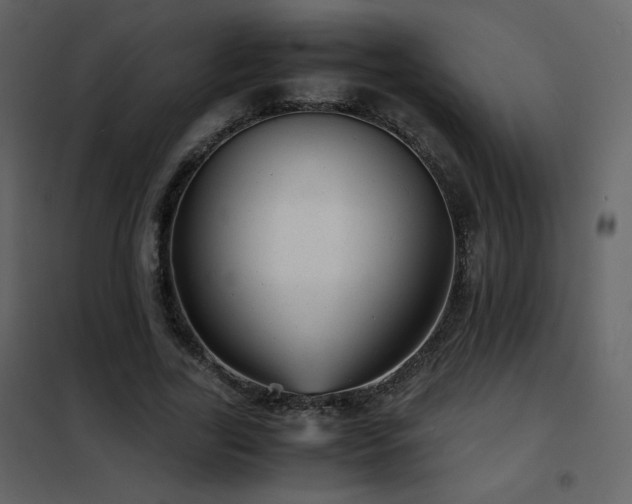X0000102480731200808081304