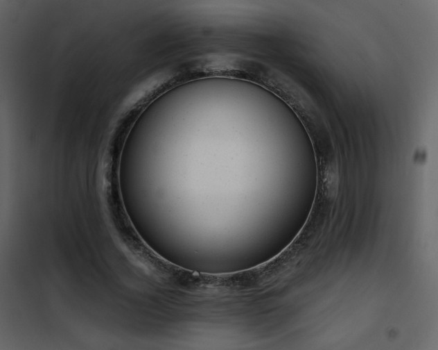 X0000102480732200808081304