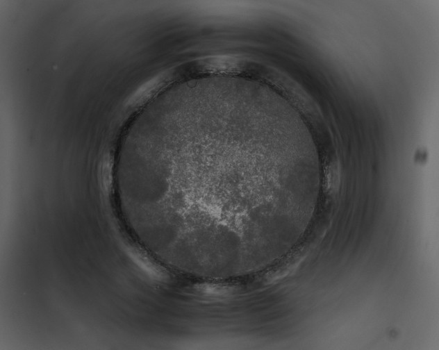 X0000102480733200808081304