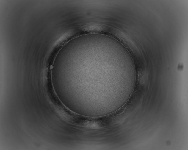 X0000102480735200808081305