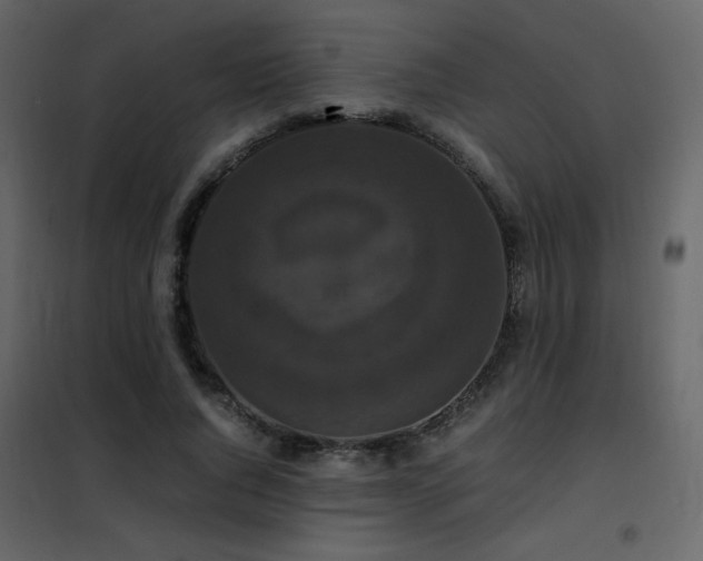 X0000102480736200808081305