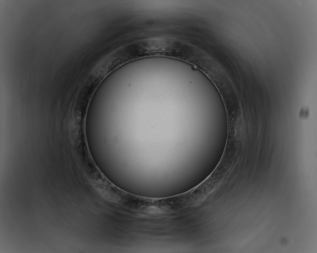 X0000102480737200808081305
