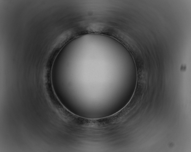 X0000102480738200808081305