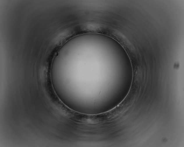 X0000102480739200808081305