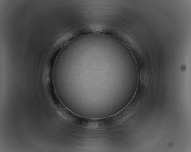 X0000102480740200808081305