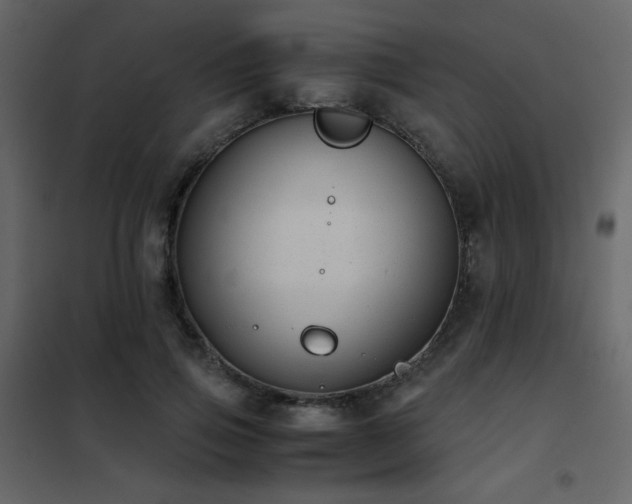 X0000102480741200808081305