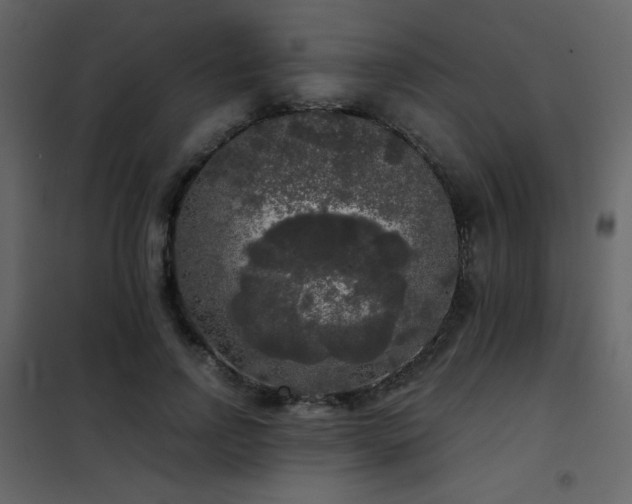 X0000102480742200808081305