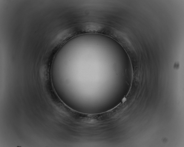 X0000102480743200808081305