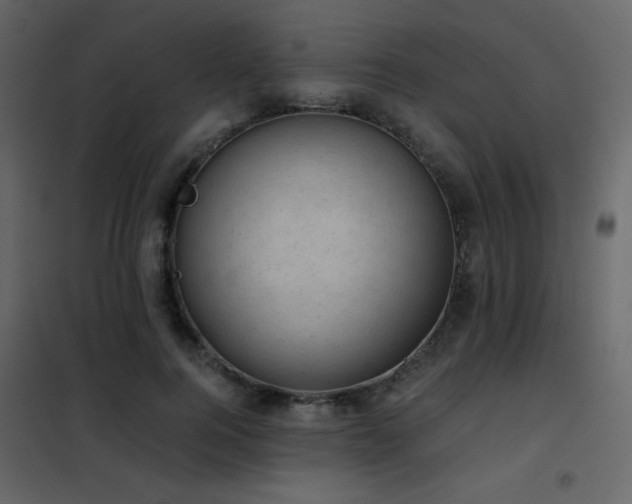 X0000102480744200808081305