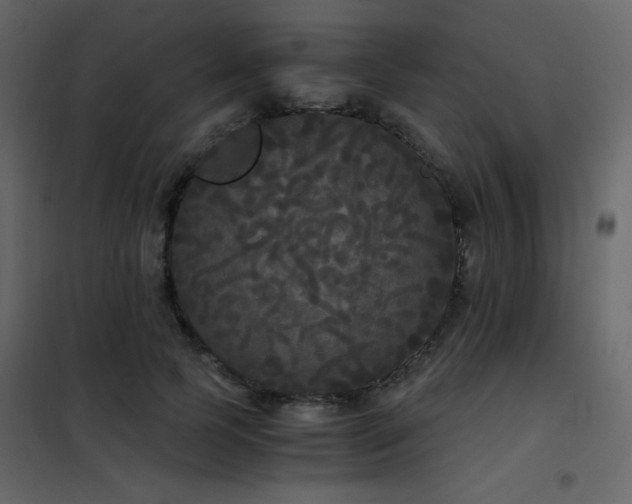 X0000102480745200808081305