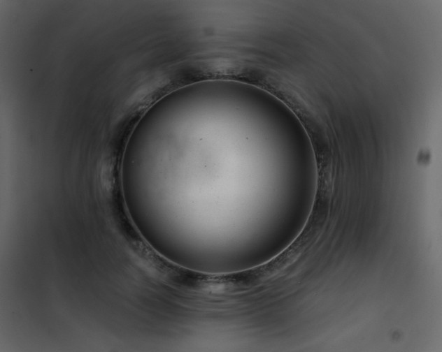 X0000102480746200808081305