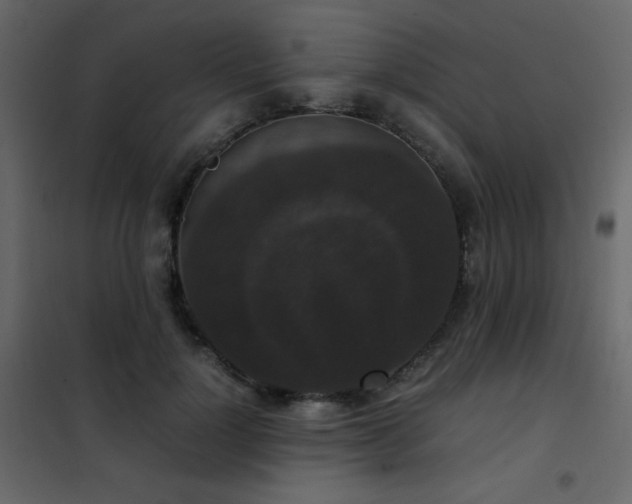 X0000102480748200808081305