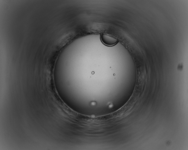 X0000102480749200808081305