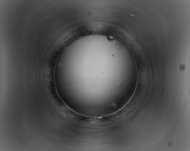 X0000102480750200808081305