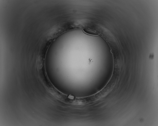 X0000102480751200808081305