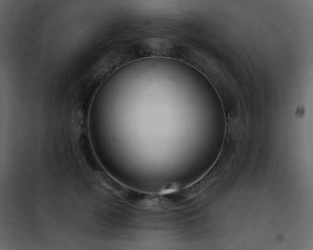 X0000102480752200808081305