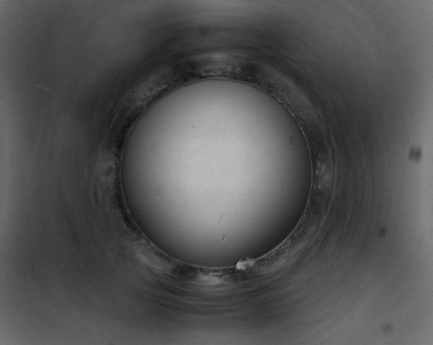 X0000102480753200808081305