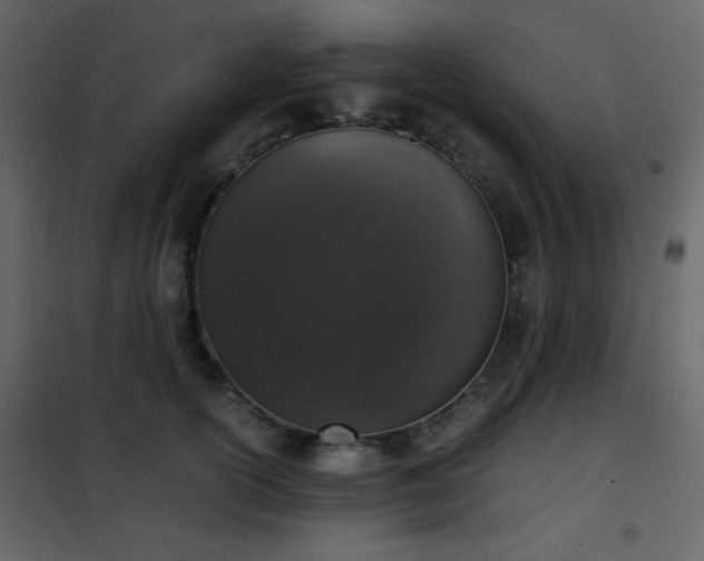 X0000102480754200808081305