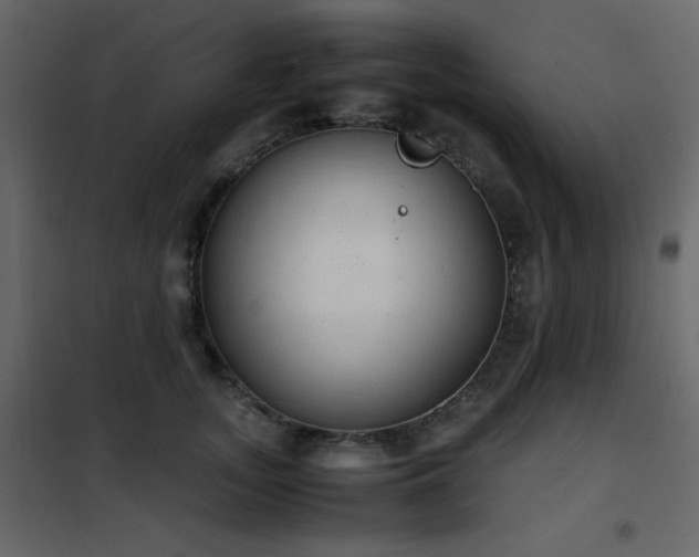 X0000102480755200808081305