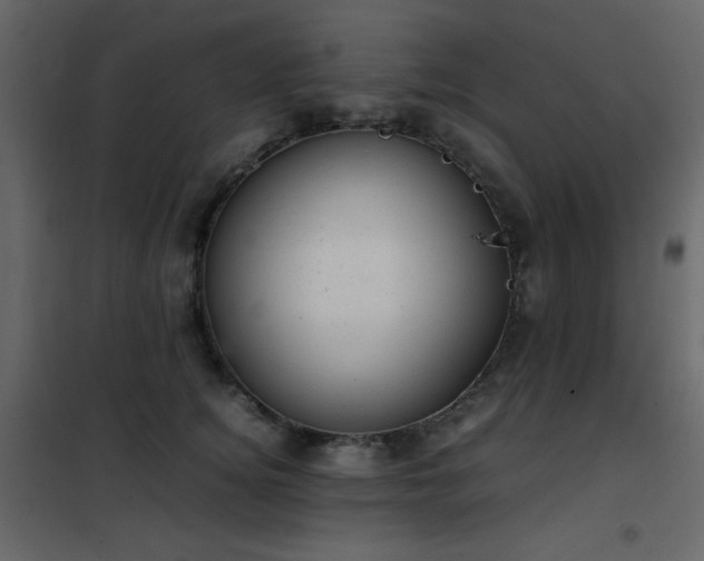 X0000102480756200808081305