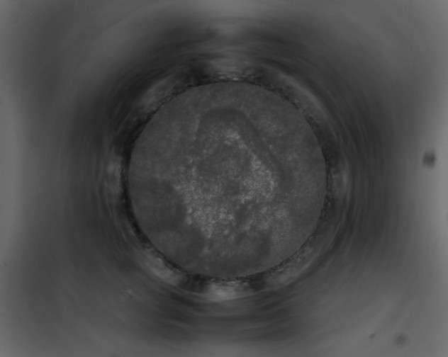 X0000102480757200808081305