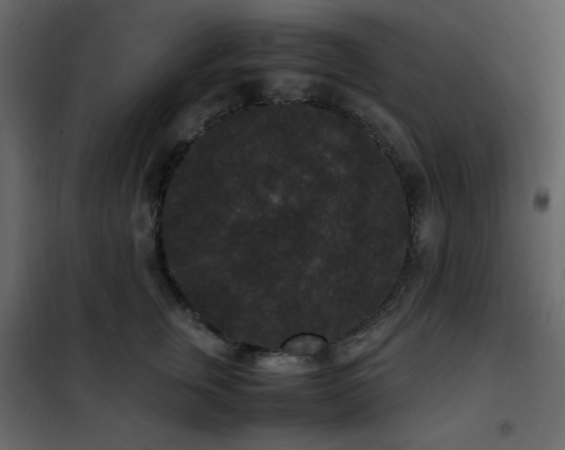 X0000102480759200808081305