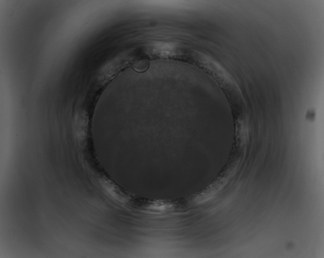 X0000102480760200808081305