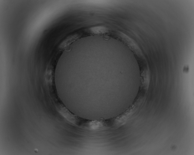 X0000102480762200808081305