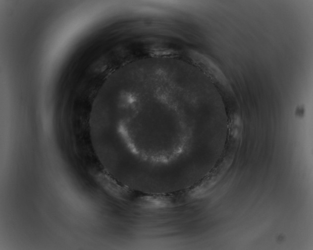 X0000102480763200808081305