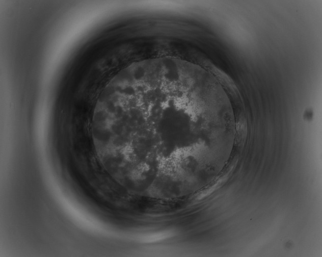 X0000102480765200808081305