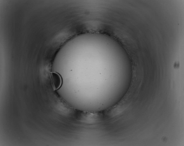 X0000102480768200808081305