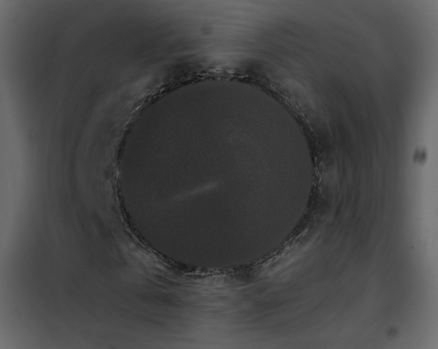 X0000102480769200808081304