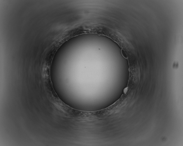 X0000102480770200808081304