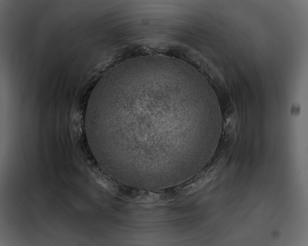 X0000102480772200808081304