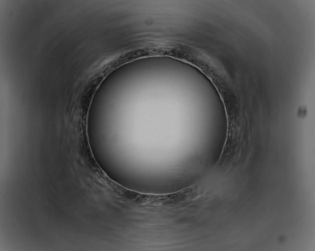 X0000102480773200808081304