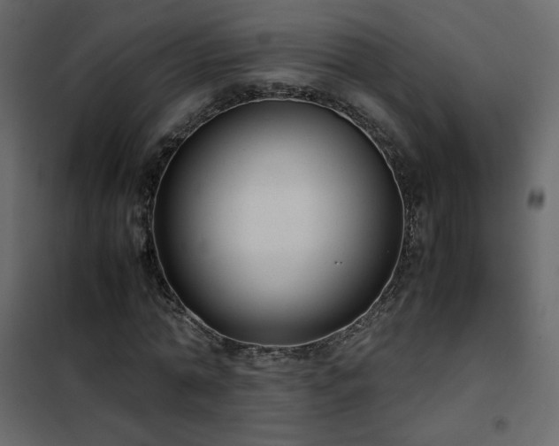 X0000102480774200808081304