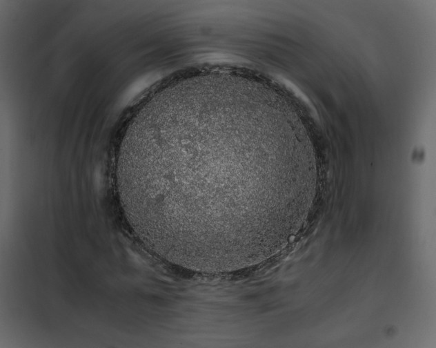 X0000102480775200808081304