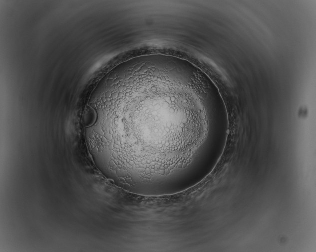 X0000102480776200808081304