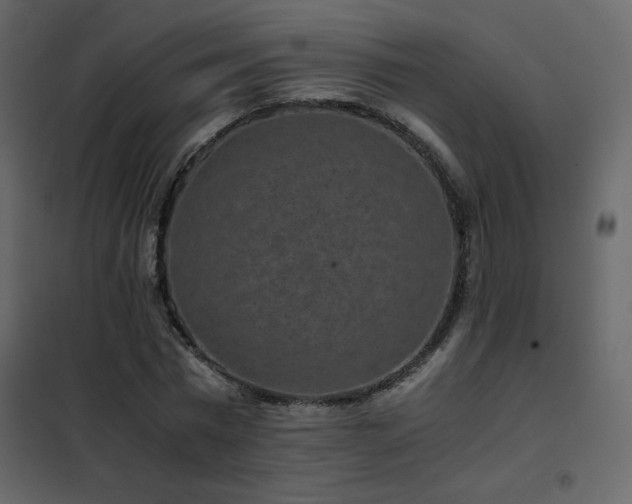 X0000102480777200808081304