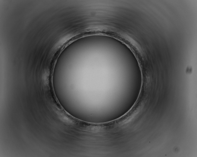 X0000102480778200808081304